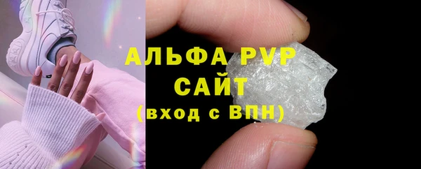 стаф Белокуриха