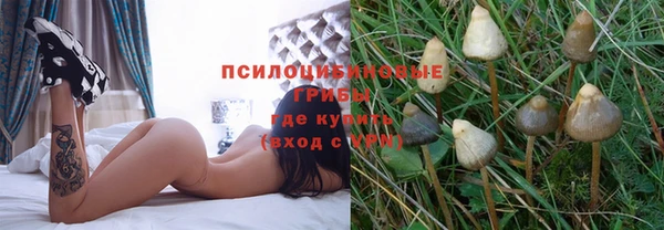 COCAINE Богданович