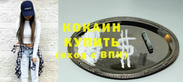 стаф Белокуриха