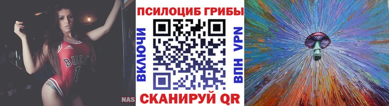 купить наркоту  Бахчисарай  Псилоцибиновые грибы мицелий 